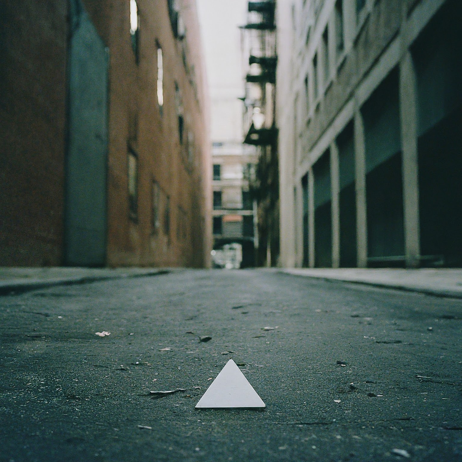 The path Cover Art